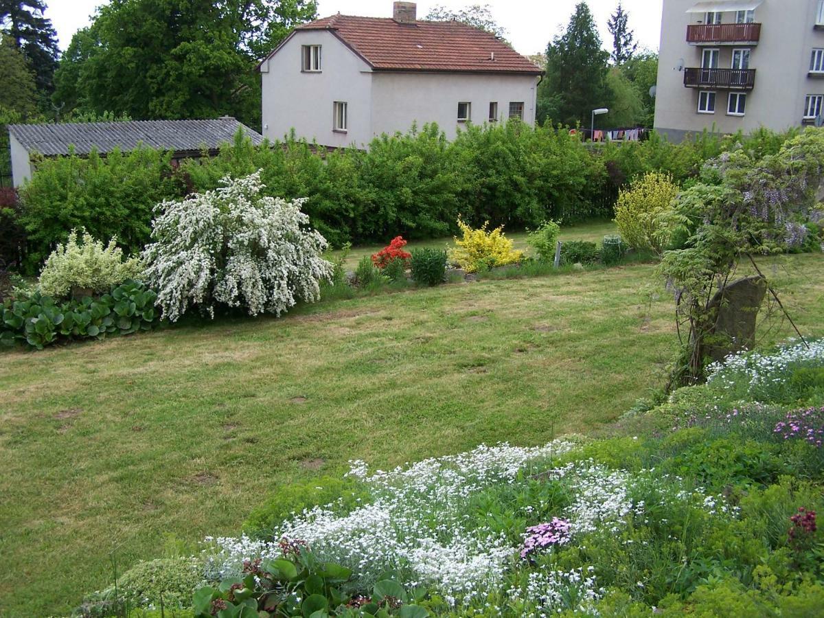 Penzion Belcice Hotel Exterior photo