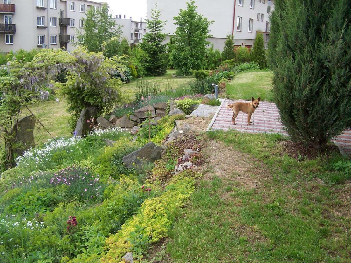 Penzion Belcice Hotel Exterior photo